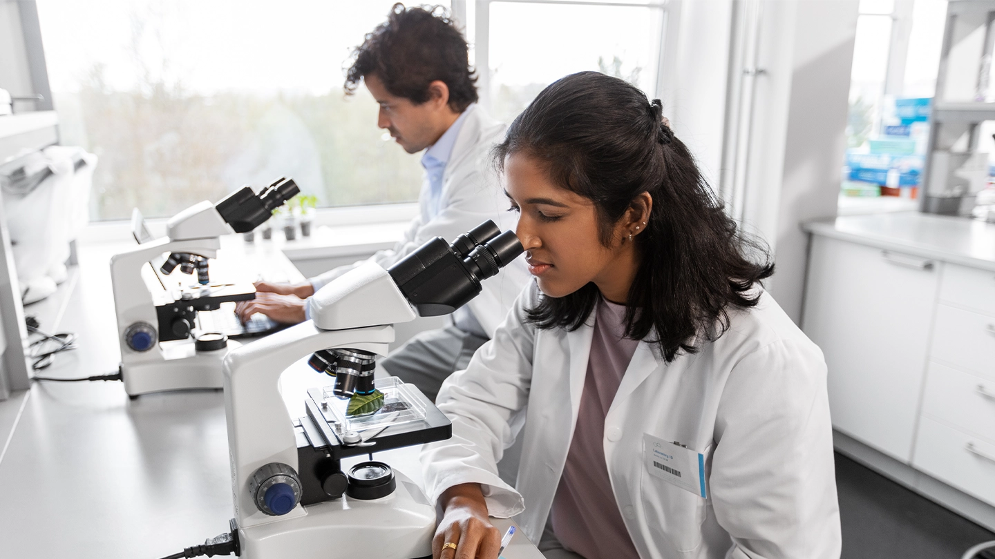Biomedical science degree graduates studying samples with microscopes.