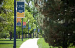 Photo of UNC Campus walkway